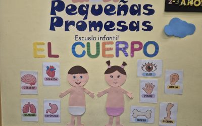 PRESENTACIÓN DEL PROYECTO EDUCATIVO «EL CUERPO HUMANO», lunes 5 de octubre de 2026